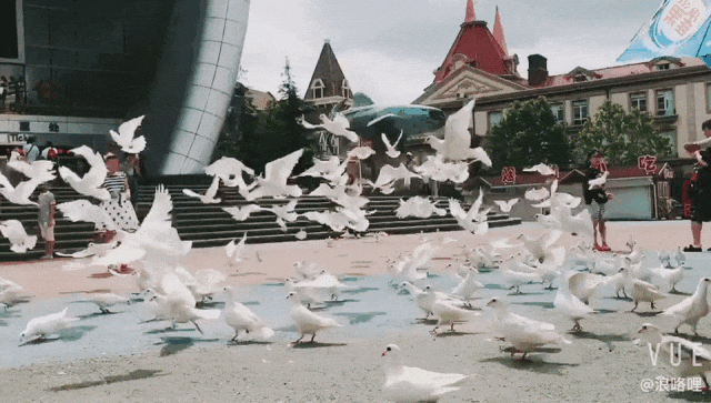 微信图片_20240705081549.gif