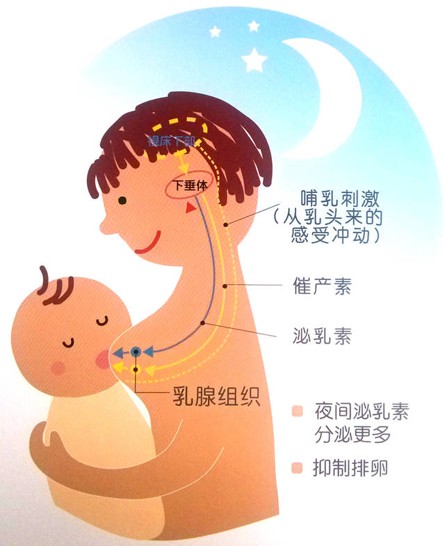 6a6d3c385fd8f02c5a00ae921c3074fe.png