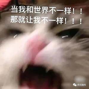 7.jpg 7.jpg