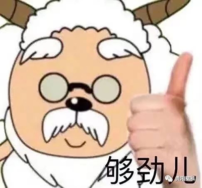 11.png
