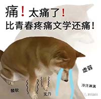 17.jpg
