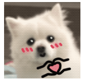 微信图片_20231027191418.png