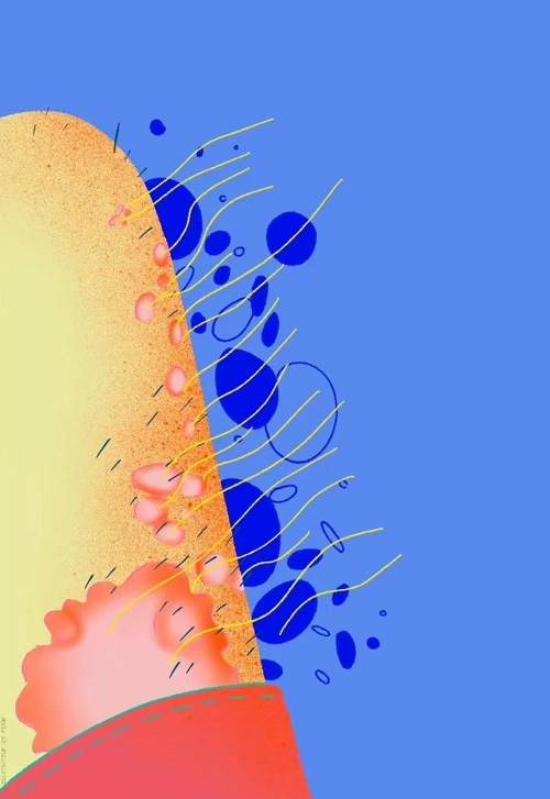 微信图片_20231104090640.jpg 微信图片_20231104090640.jpg