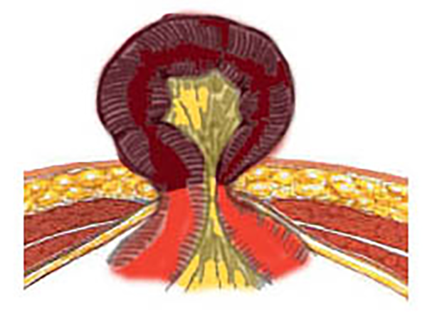 10.png 10.png