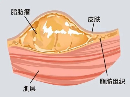 微信图片_20231226201623.jpg 微信图片_20231226201623.jpg