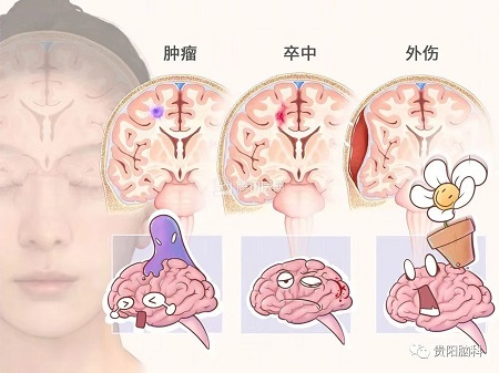 微信图片_20231226201658.jpg