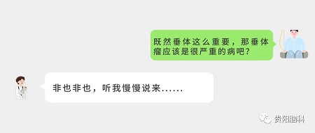 微信图片_20231226201725.jpg 微信图片_20231226201725.jpg
