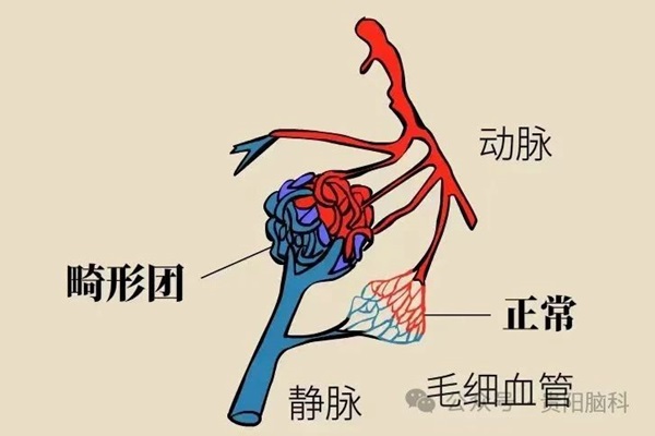 微信图片_20240112115733.jpg 微信图片_20240112115733.jpg
