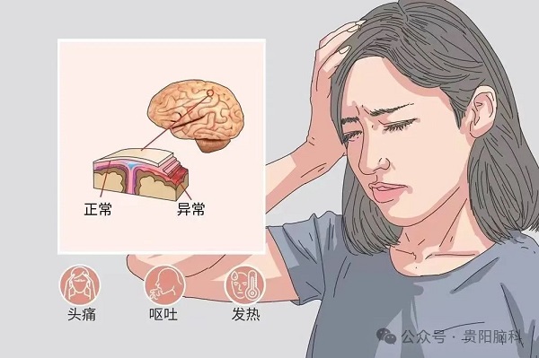 555.jpg