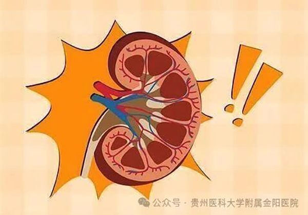 微信图片_20240315094627.jpg