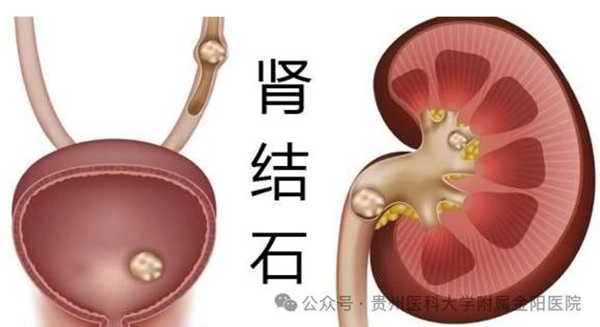 微信图片_20240315094634.jpg