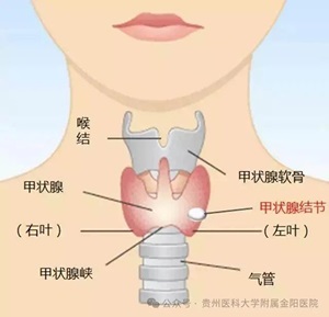 微信图片_20240315094643.jpg