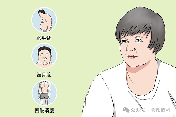微信图片_20240315094706.jpg