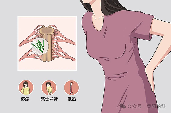 微信图片_20240319194703.jpg