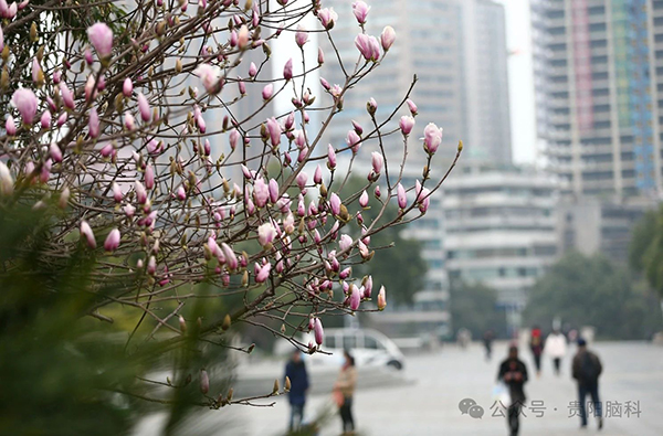 微信图片_20240319195301.jpg
