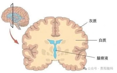 微信图片_20240322115426.jpg