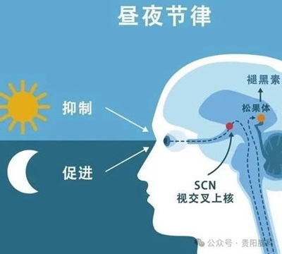 微信图片_20240322115557.jpg