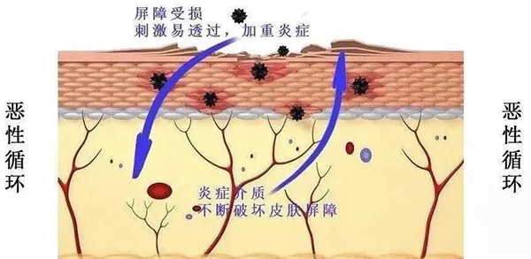 微信图片_20240409191903.jpg