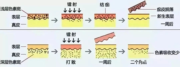 微信图片_20240411081249.jpg