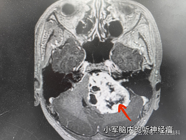 微信图片_20240415122257.jpg