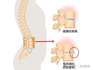 微信图片_20240423165259.jpg