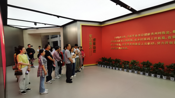 图片 3.png
