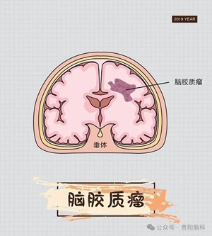 微信图片_20240606185513.jpg