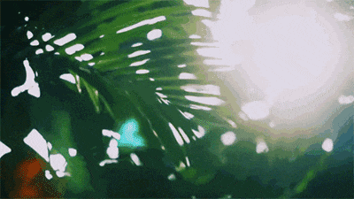 002.gif 002.gif
