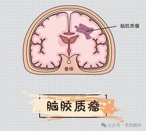 微信图片_20240703091011.jpg 微信图片_20240703091011.jpg