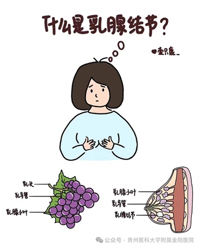 微信图片_20240725134429.jpg 微信图片_20240725134429.jpg
