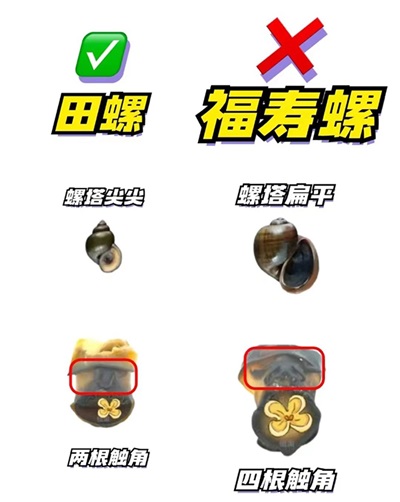 微信图片_20240805193844.jpg