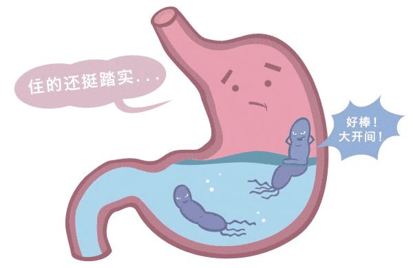微信图片_20240814081503.gif
