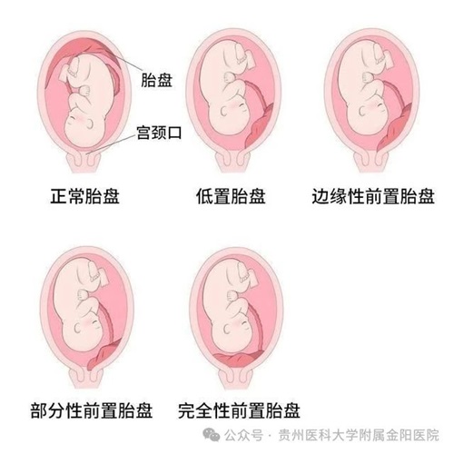 微信图片_20240903090820.jpg