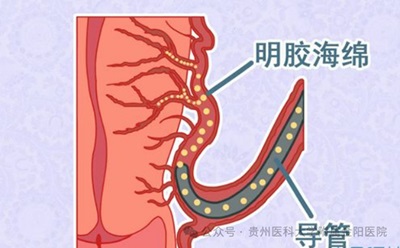 微信图片_20240911092124.jpg 微信图片_20240911092124.jpg