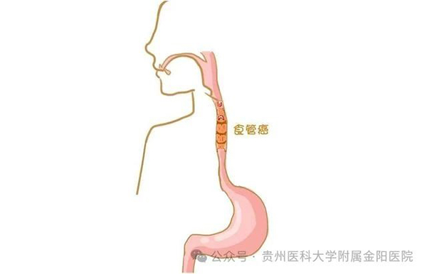 微信图片_20240926083449.jpg 微信图片_20240926083449.jpg
