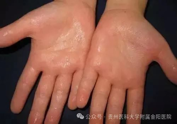 微信图片_20240930135845.jpg 微信图片_20240930135845.jpg