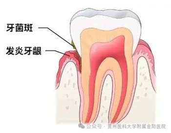 微信图片_20241020195036.jpg
