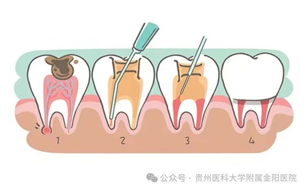 微信图片_20241022075741.jpg