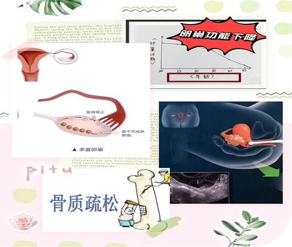 微信图片_20241107094417.jpg
