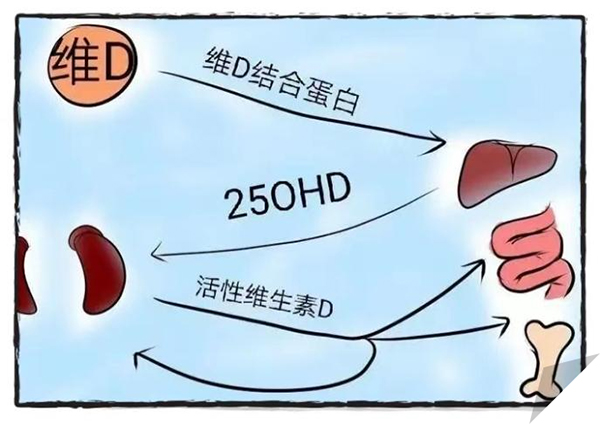微信图片_20241107094419.jpg