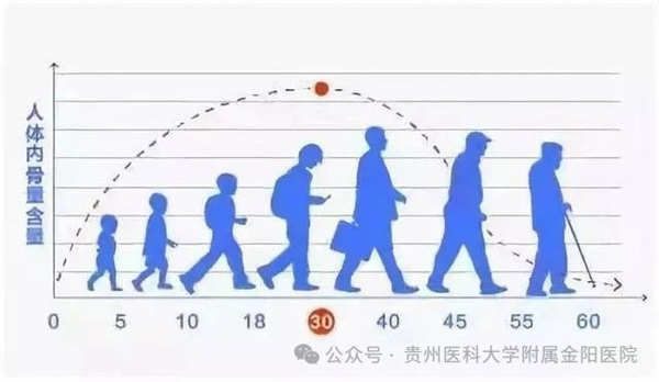 微信图片_20241108174313.jpg