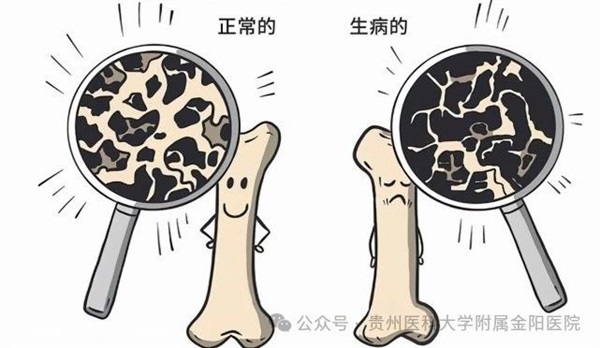 微信图片_20241108174315.jpg
