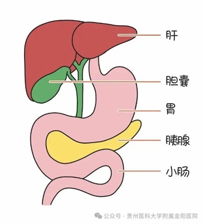 微信图片_20241121091813.jpg