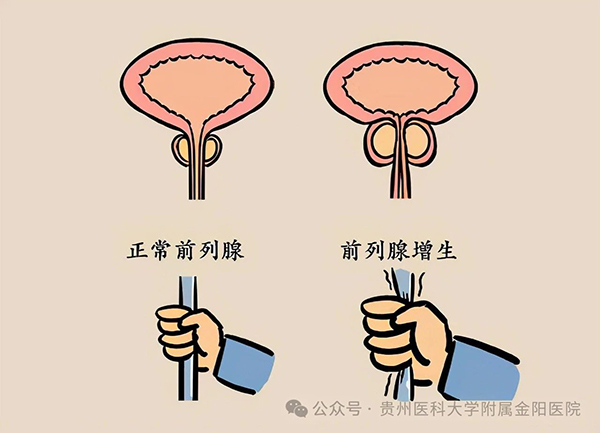 微信图片_20241204072010.jpg