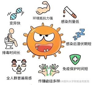 微信图片_20241224174647.jpg