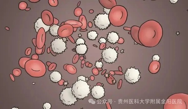 微信图片_20241226075515.jpg 微信图片_20241226075515.jpg