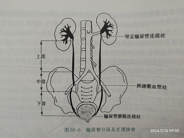 微信图片_20250104225042.jpg 微信图片_20250104225042.jpg