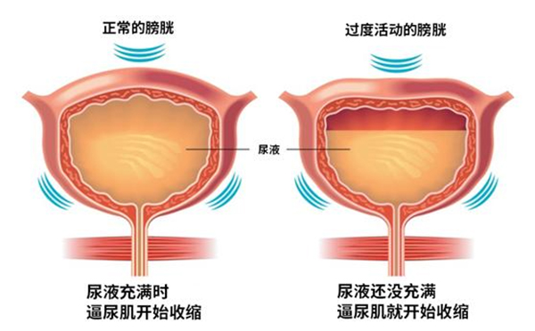 微信图片_20250206194132.jpg 微信图片_20250206194132.jpg