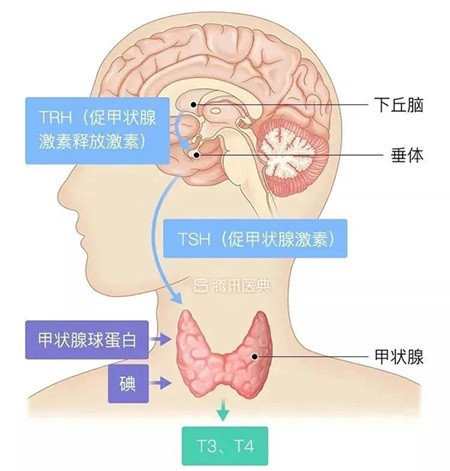 微信图片_2025-08-06_142709_405.jpg