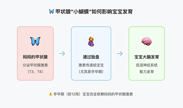 微信图片_2025-08-06_142733_020.jpg